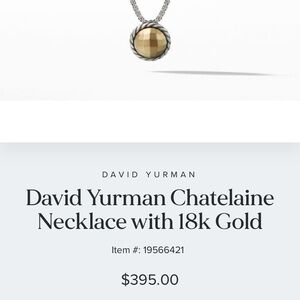 David Yurman Chatelaine Necklace with 18k Gold